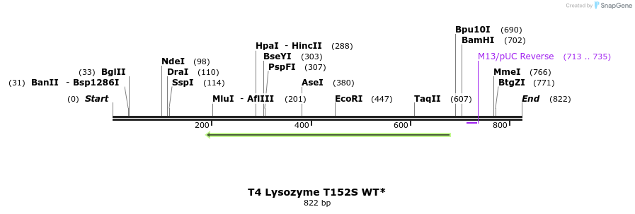 24414_map