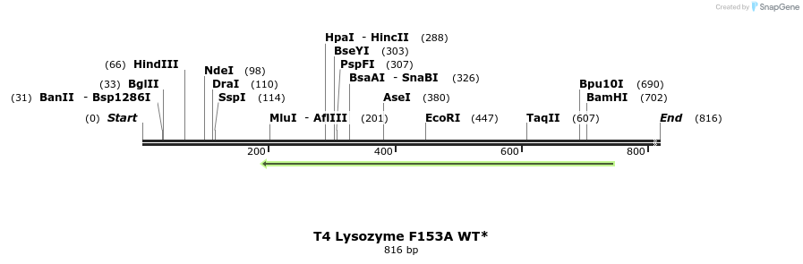 24416_map