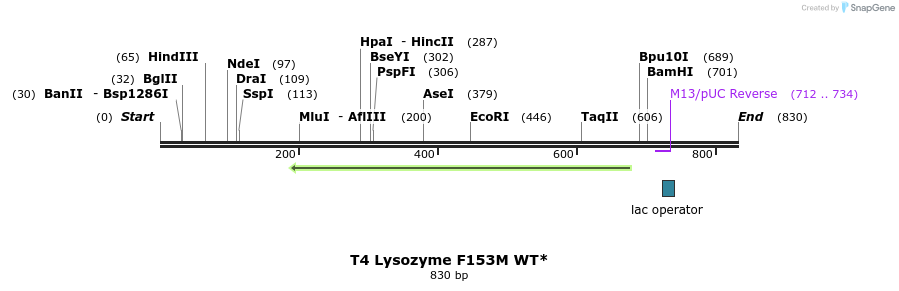 24418_map