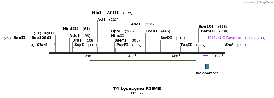 24419_map
