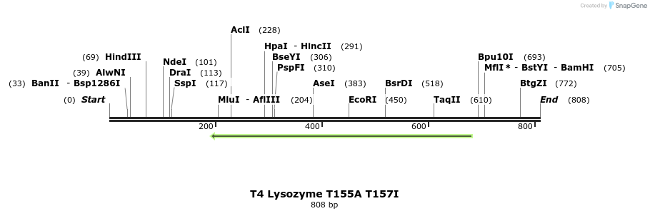 24420_map