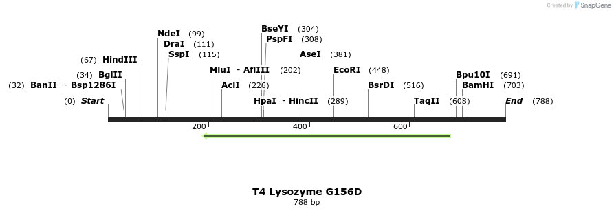 24421_map