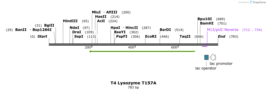 24422_map