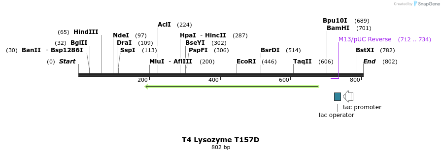 24424_map