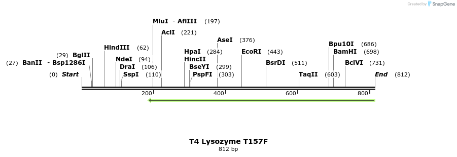 24426_map