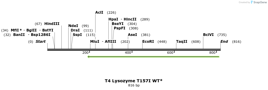 24430_map