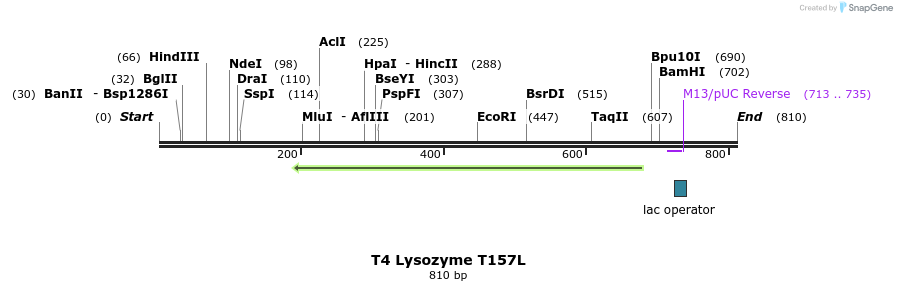 24431_map
