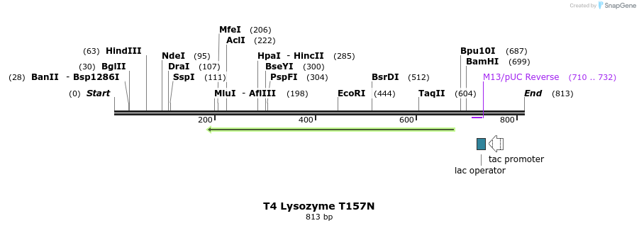 24432_map