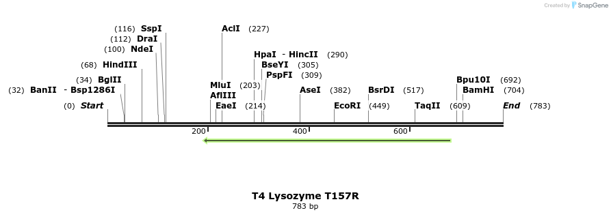 24433_map