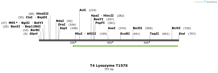 24434_map