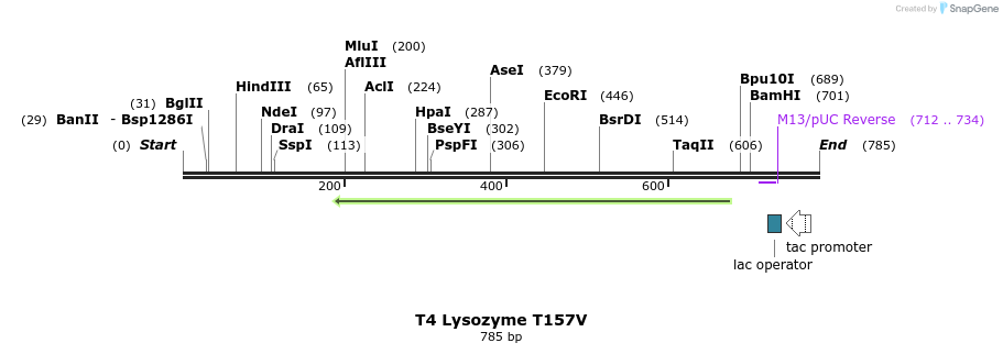 24435_map