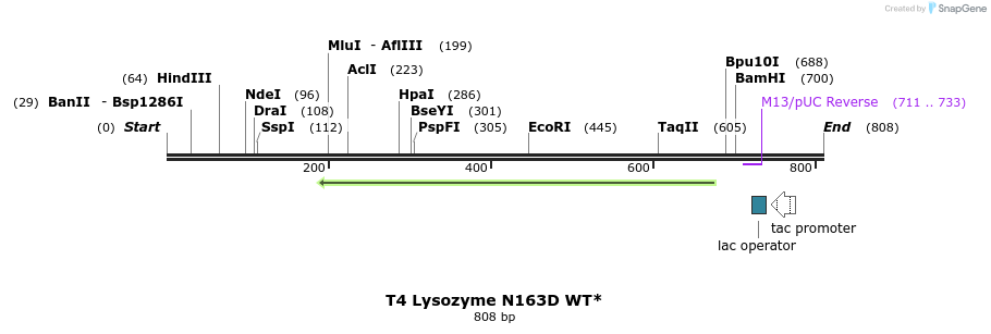 24437_map