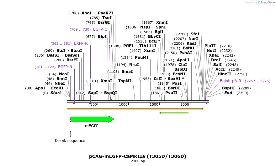 244381_map
