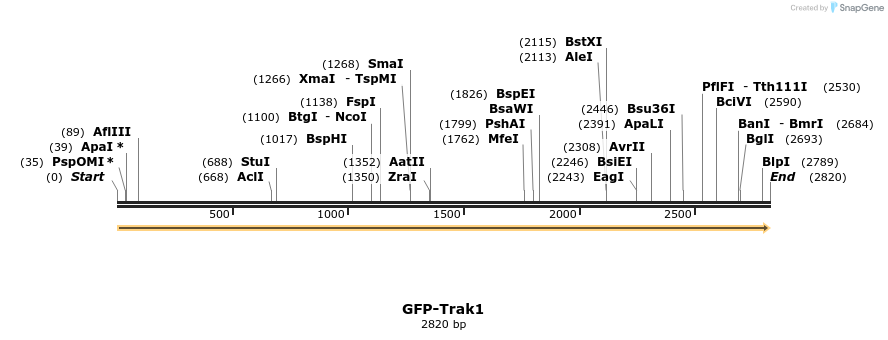244409_map
