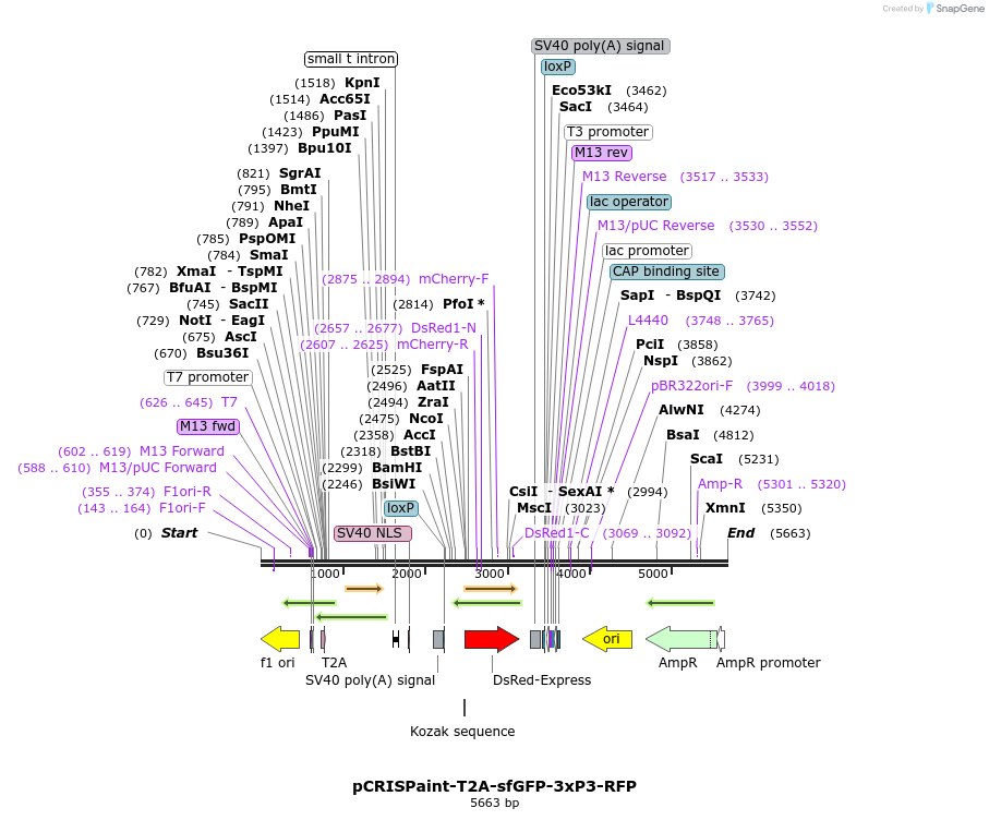 244414_map