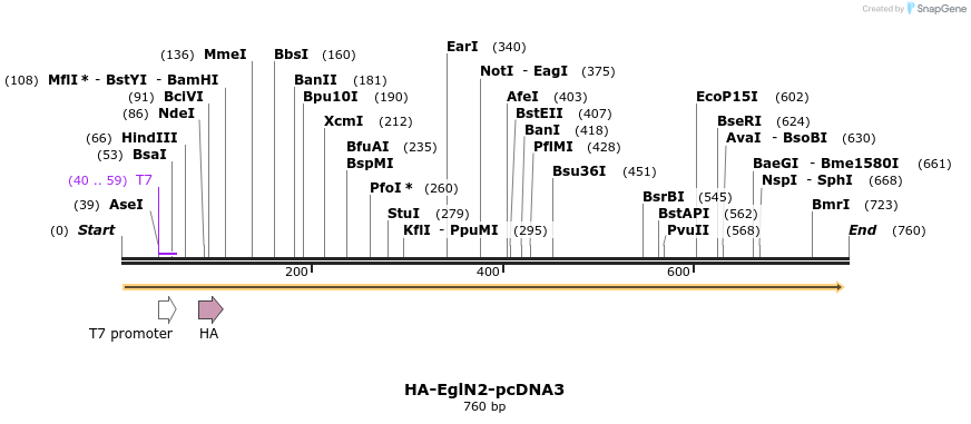24449_map