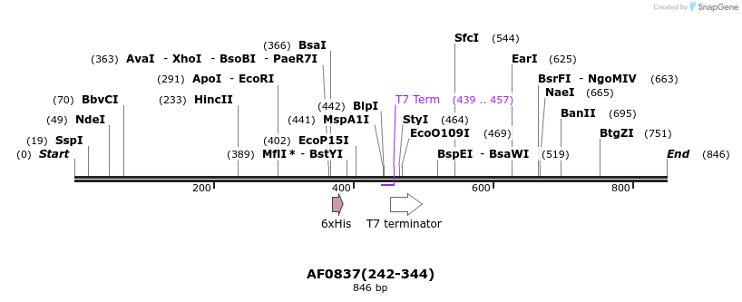 24451_map