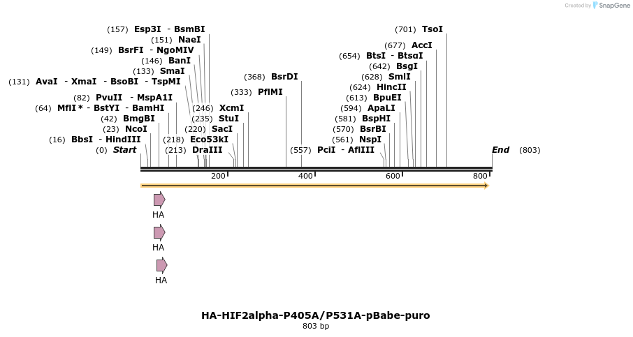 24452_map