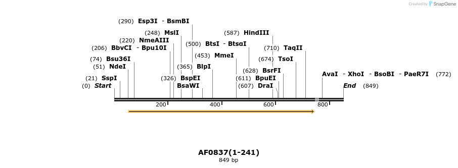 24456_map