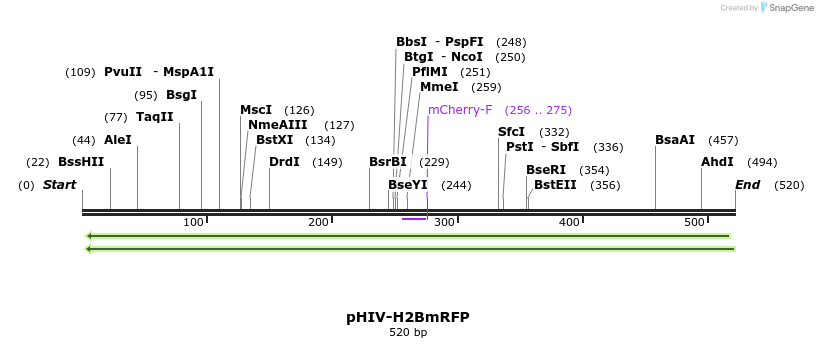 24466_map
