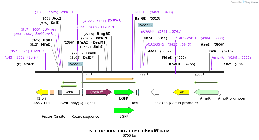 244666_map