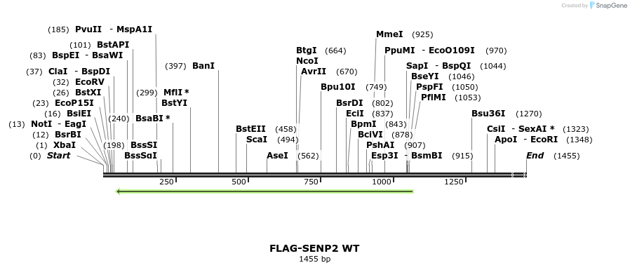 244673_map