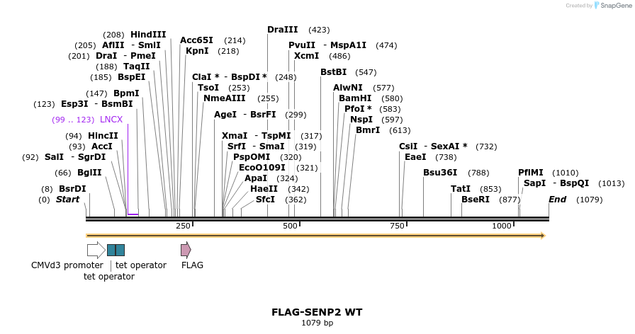244674_map
