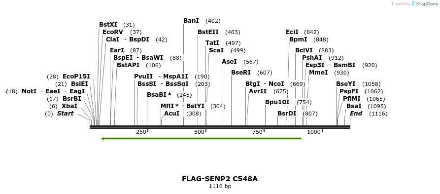 244675_map
