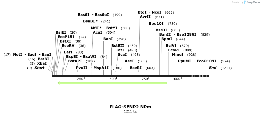 244677_map