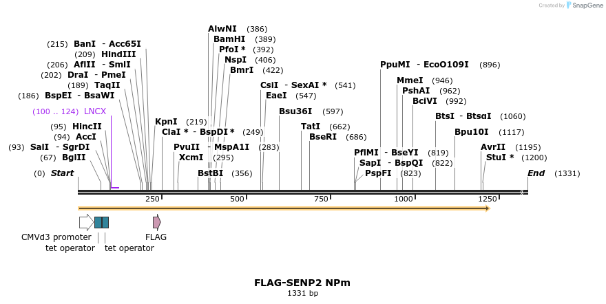 244678_map