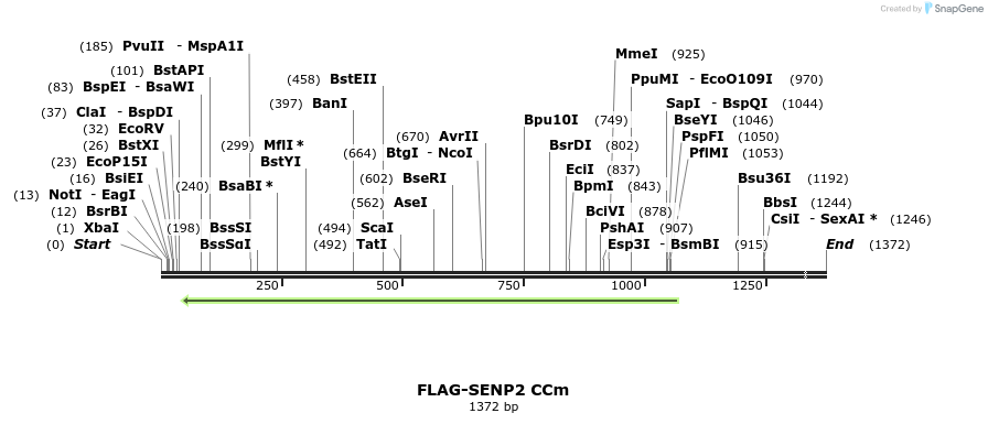 244679_map