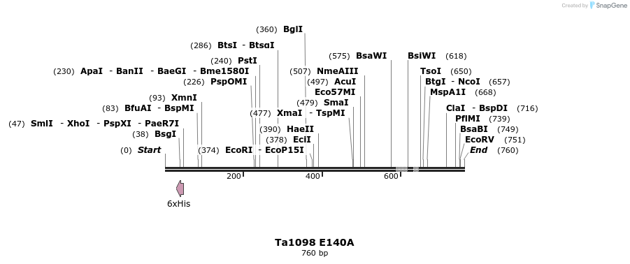 24474_map