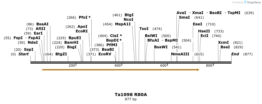 24475_map