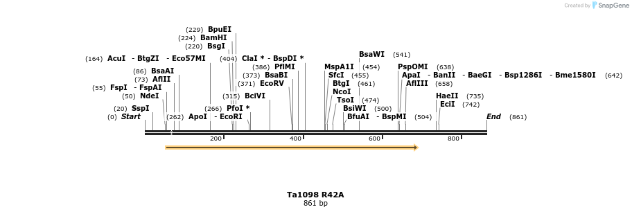 24476_map