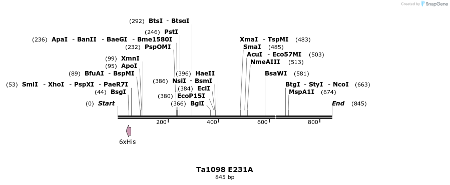 24478_map