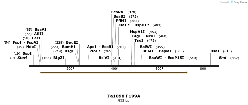 24479_map
