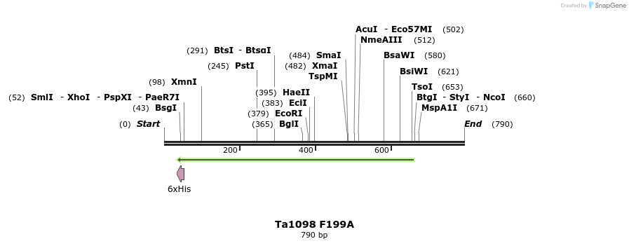 24480_map