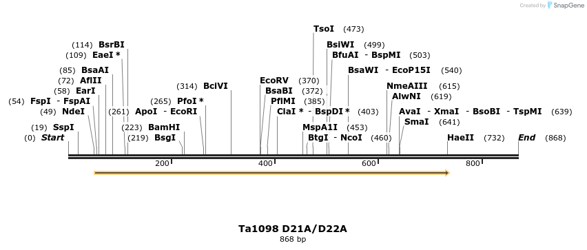 24481_map