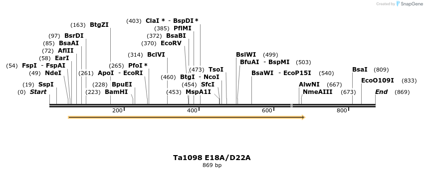 24482_map