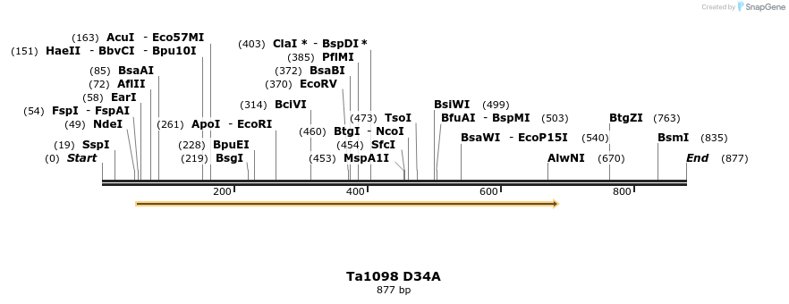 24484_map