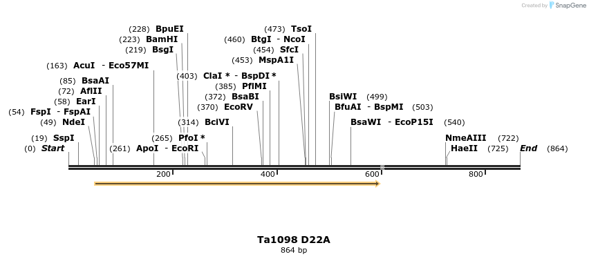 24485_map