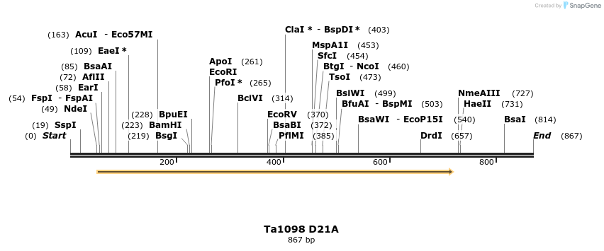 24486_map