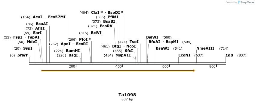 24488_map