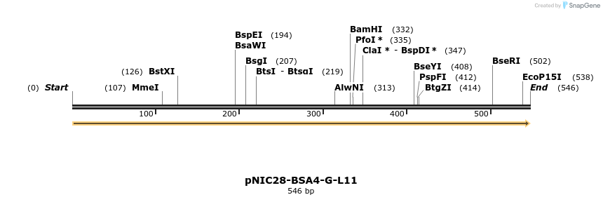 244890_map