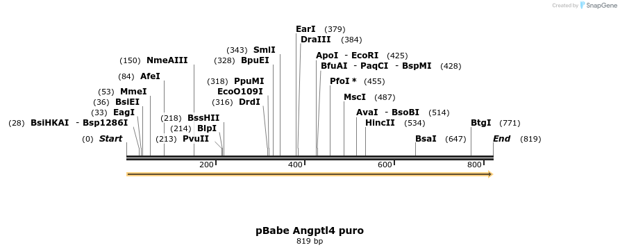 24492_map