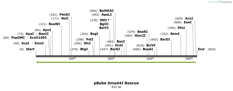 24495_map