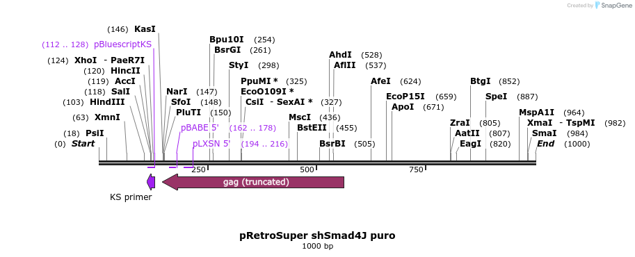 24496_map