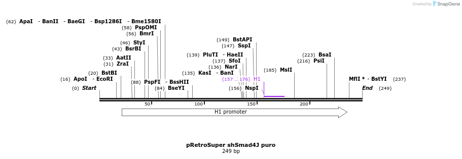 24497_map