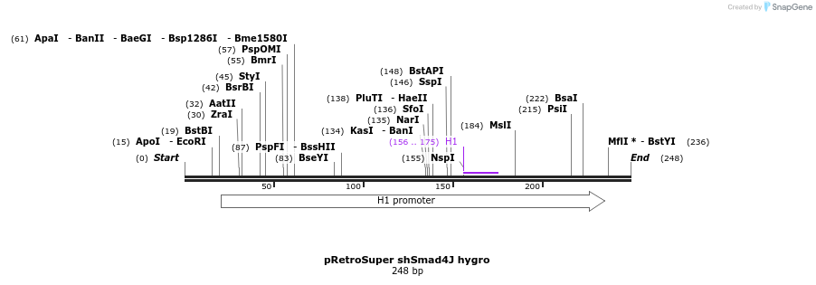24499_map