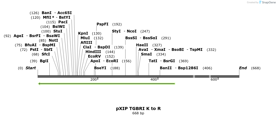 24500_map
